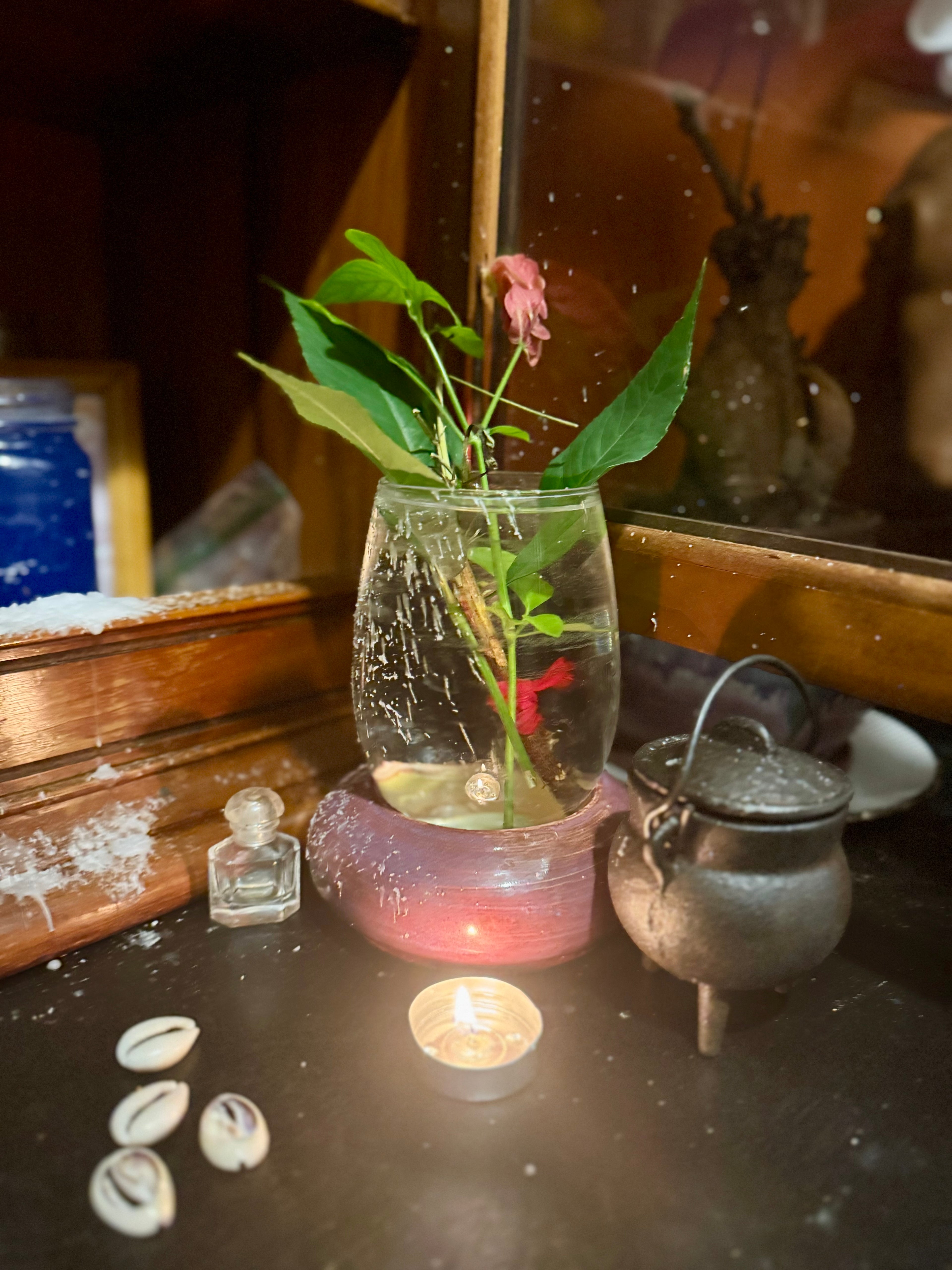 Iku Joko Spirit Investigation